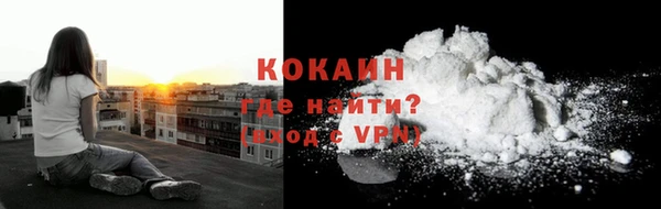прущие грибы Рославль
