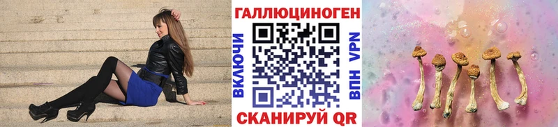 Псилоцибиновые грибы мицелий Байкальск