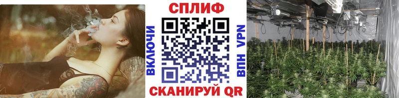 МАРИХУАНА ГИДРОПОН  Байкальск 